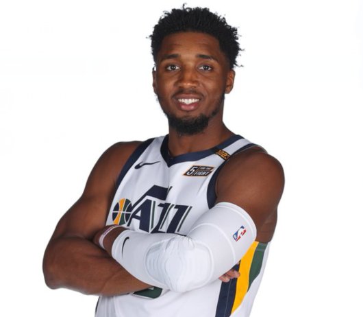 分展示了罗 分展示了罗