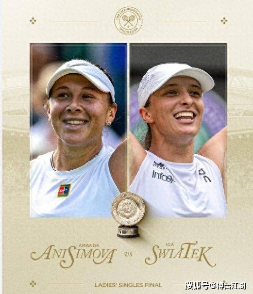 国际水平的 国际水平的